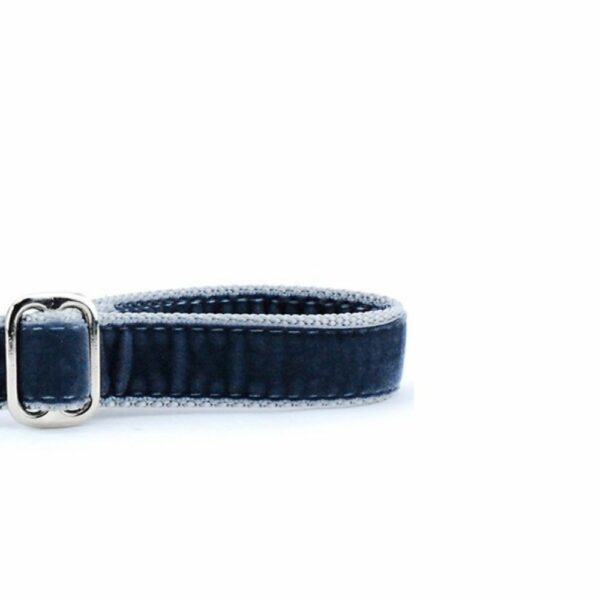 Smoke Gray Velvet Dog Leash, photo 2