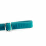Teal Velvet Dog Leash, photo 2