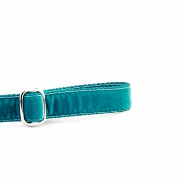 Teal Velvet Dog Leash, photo 2