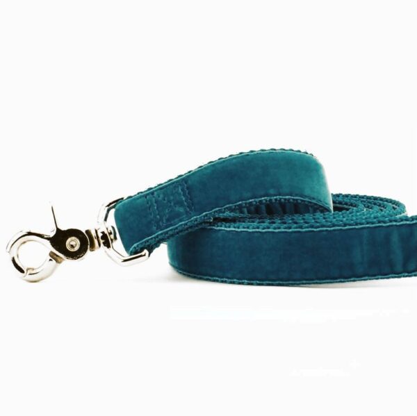Teal Velvet Dog Leash, photo 1