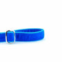Venetian Blue Velvet Dog Leash, photo 2