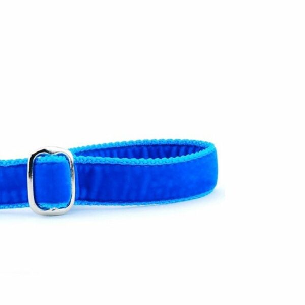 Venetian Blue Velvet Dog Leash, photo 2
