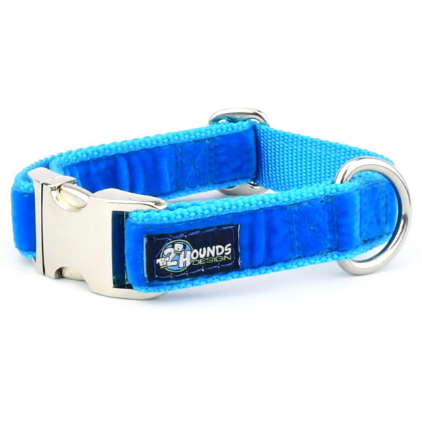 Collar con hebilla Velvet Essential en azul veneciano, foto 2
