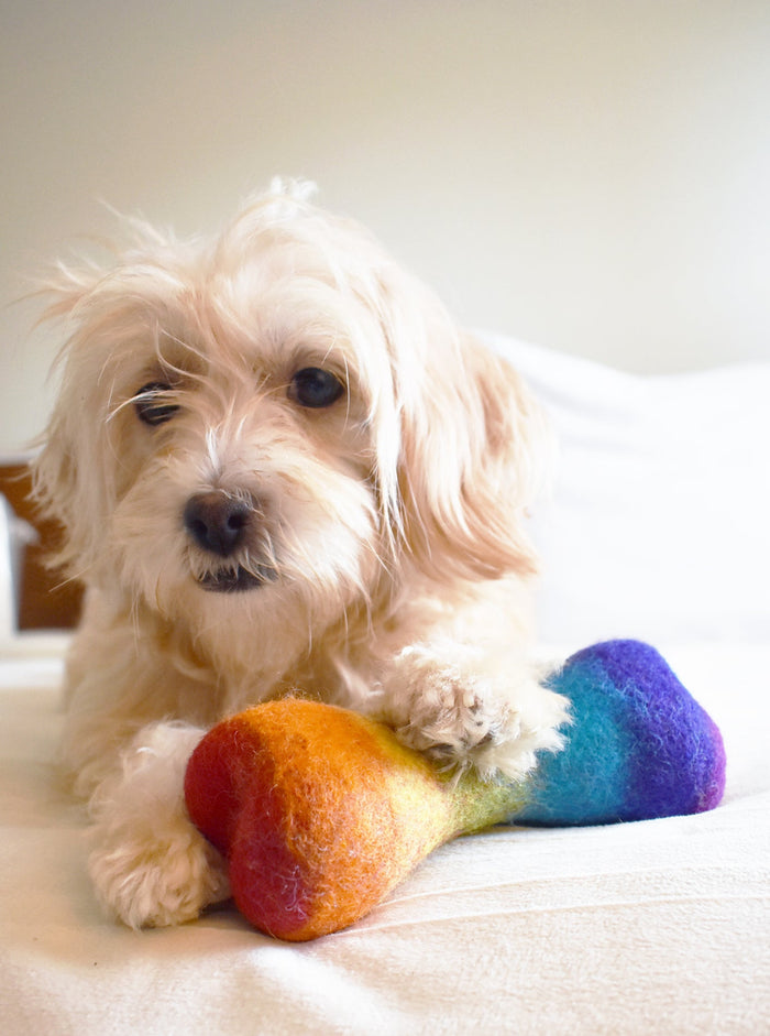 Juguete Woolbone para perro Rainbow, foto 3