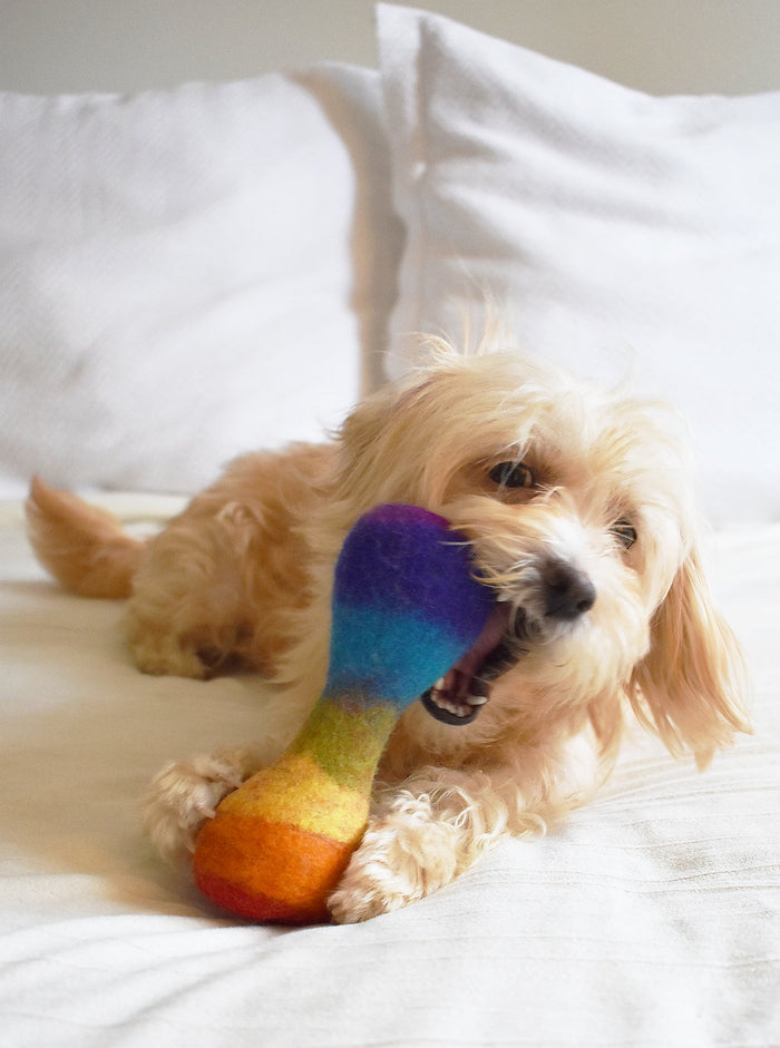 Juguete Woolbone para perro Rainbow, foto 2