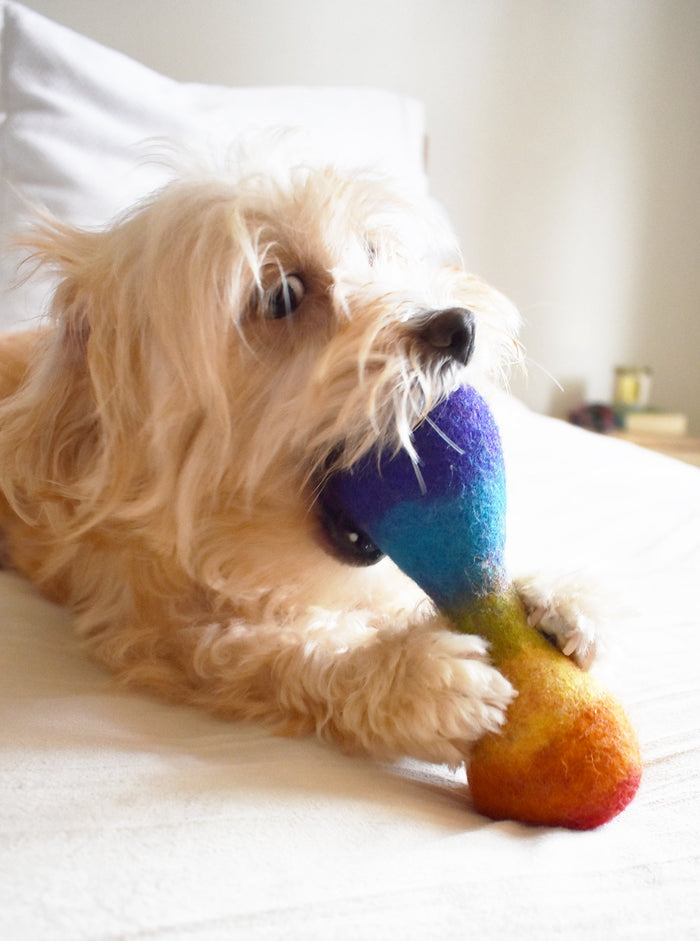 Juguete Woolbone para perro Rainbow, foto 4