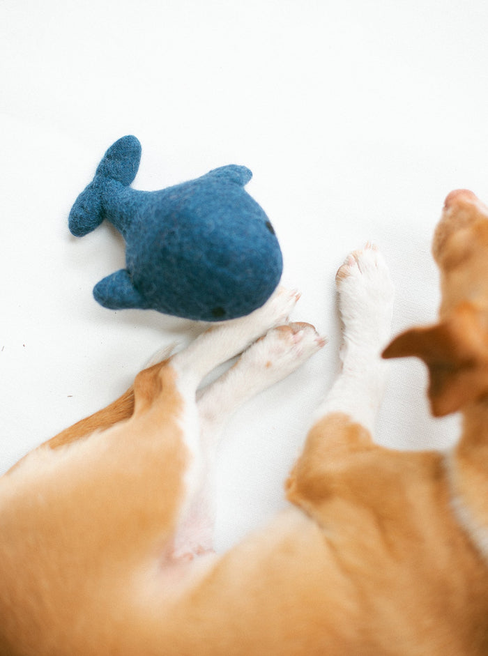 Juguete de lana para perro Whale, foto 3