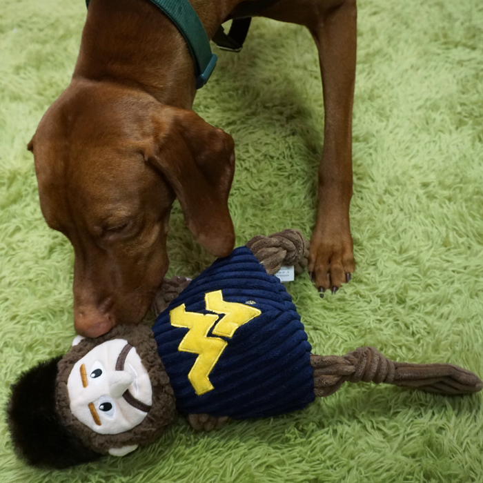 NCAA West Virginia University, Mountaineer Knottie, juguete de peluche para perro, foto 8