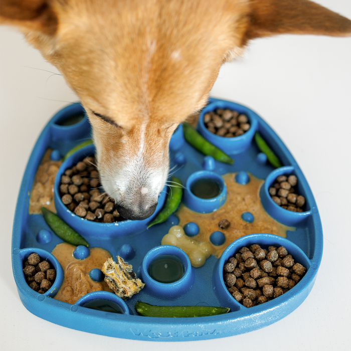 Bubbles Feast Mat for Dogs, photo 3