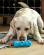 Flossr Textured Chew and Treat Toy, photo 5