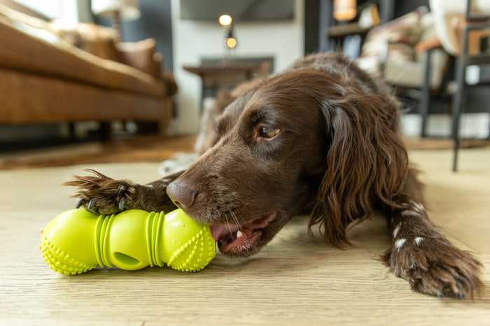 Flossr Textured Chew and Treat Toy, photo 6