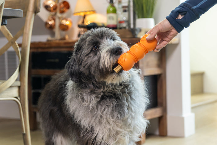 Flossr Textured Chew and Treat Toy, photo 7