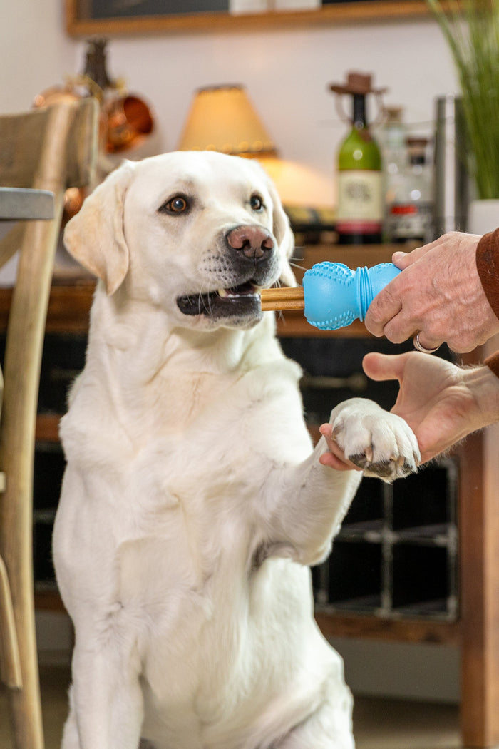 Flossr Textured Chew and Treat Toy, photo 8