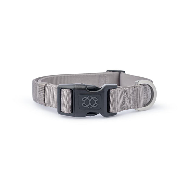 Steel City Padded Dog Collar