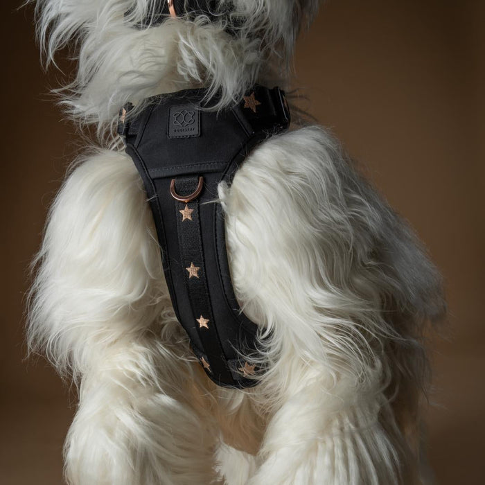 Rockstar NoMad Adjustable Dog Harness, photo 10