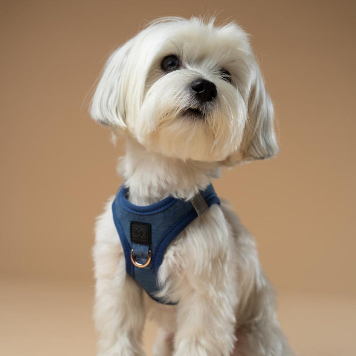 Denim SoHo Step-In Dog Harness, photo 9