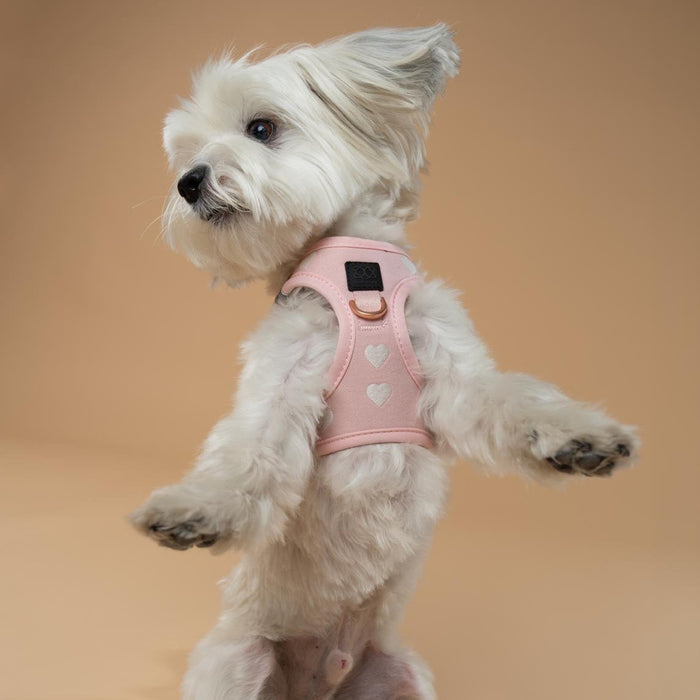 Sweetheart SoHo Step-In Dog Harness, photo 9