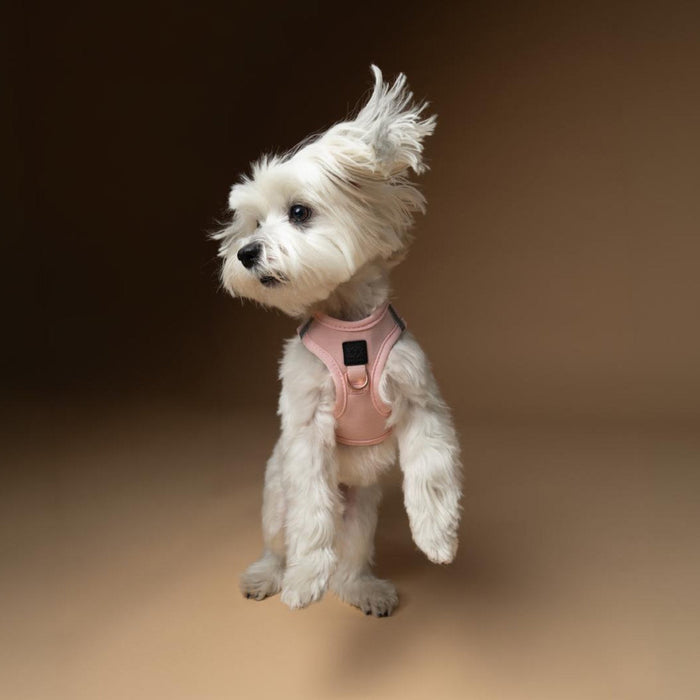 Blush Pink SoHo Step-In Dog Harness, photo 7