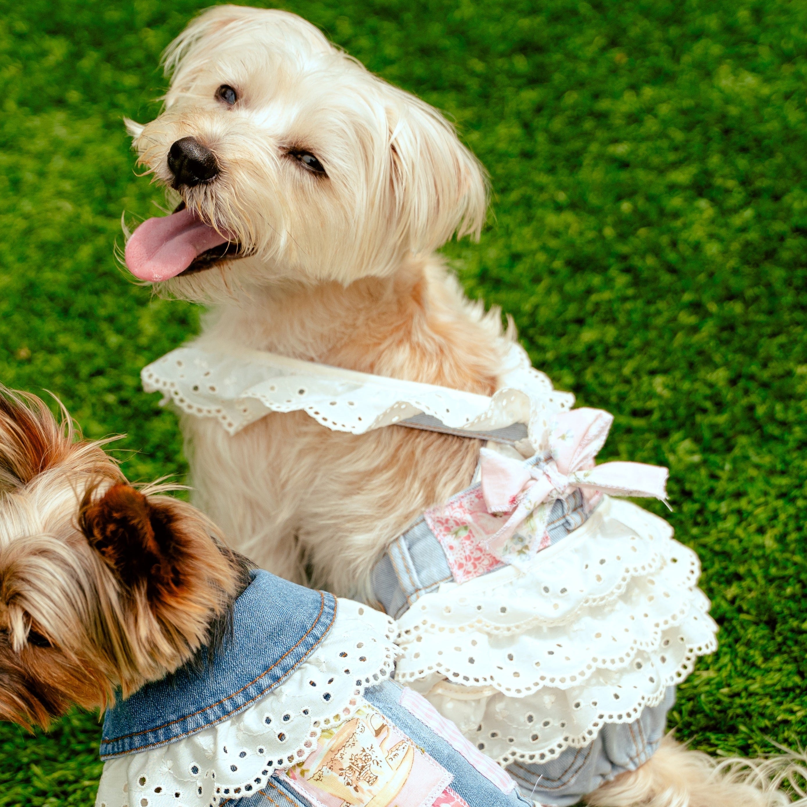 LovePackPuppy Overalls, photo 1