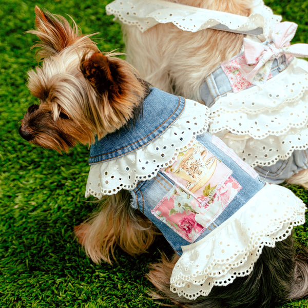 LovePackPuppy Vest, photo 1