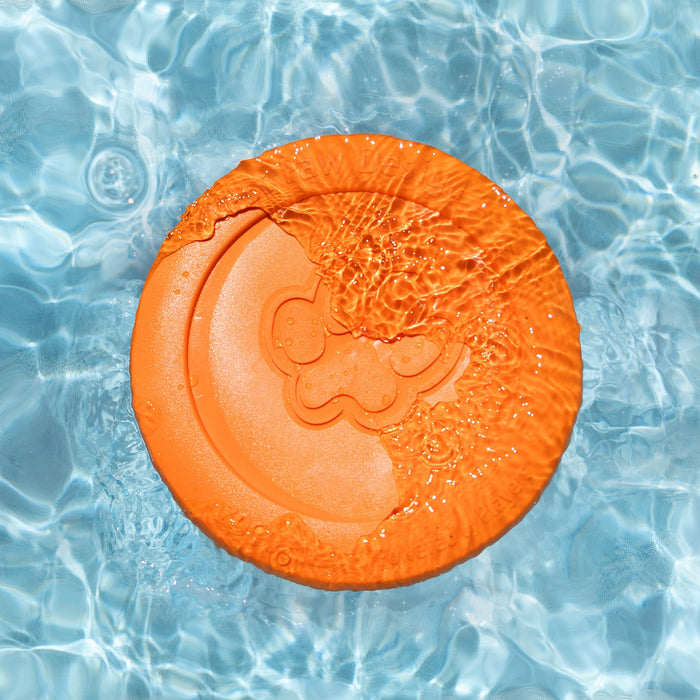Zisc Flying Disc for Dogs, photo 3
