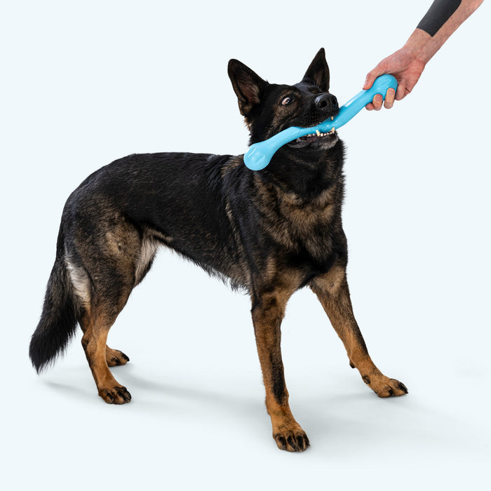 Zwig Fetch Stick for Dogs, photo 3