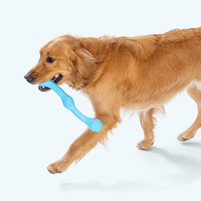 Zwig Fetch Stick for Dogs, photo 5