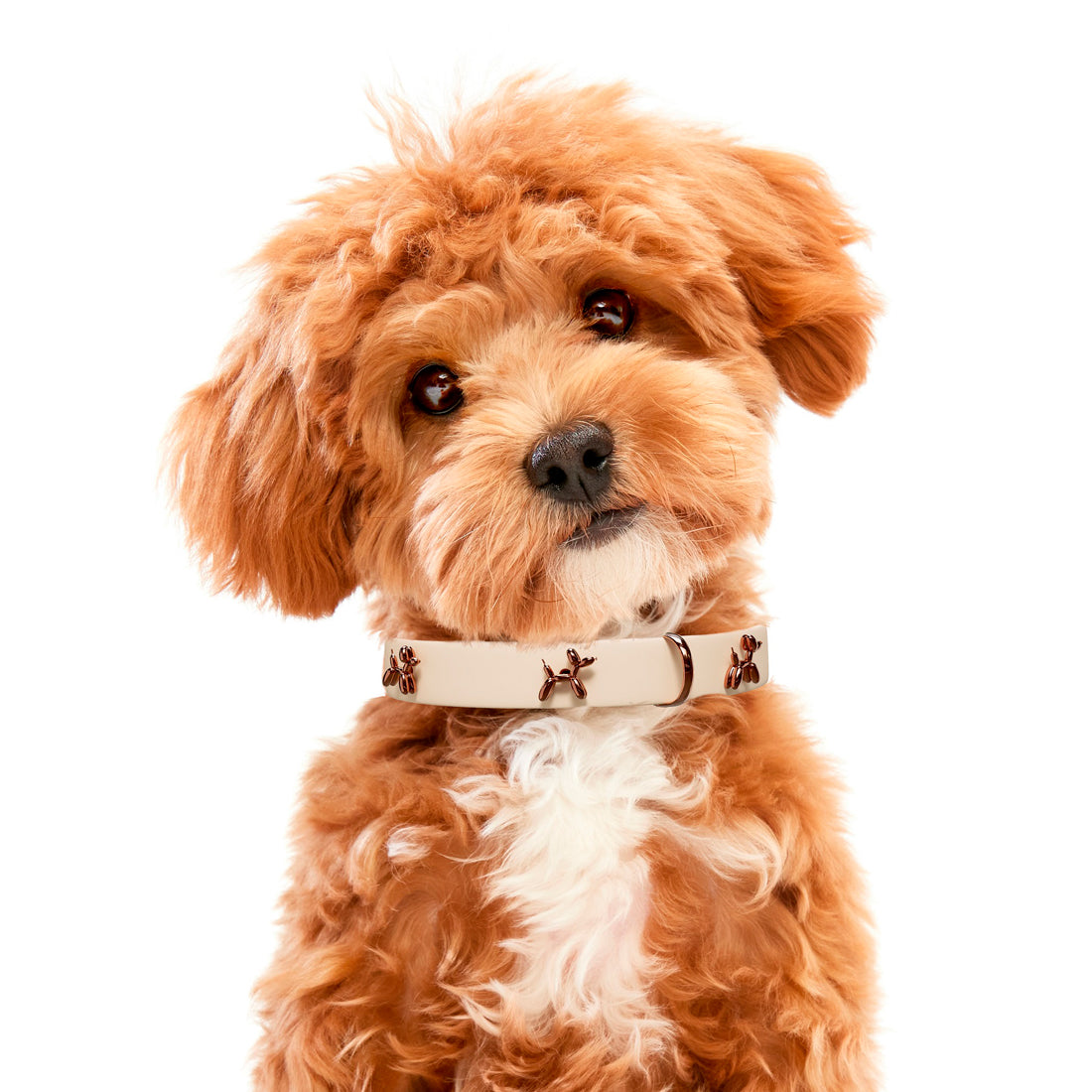Beige Dog Collar with Balloon Dog Charms, photo 1