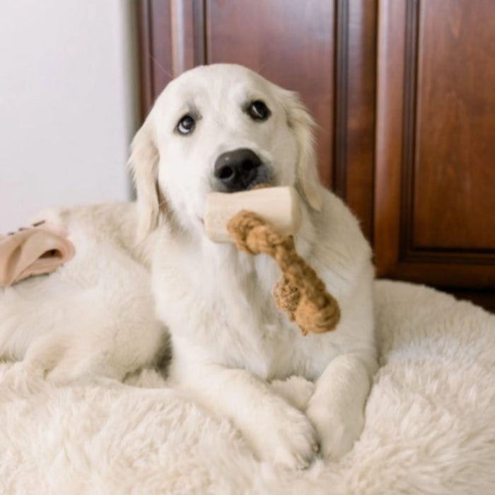 Coconut Rope and Coffee Wood Dog Chew, photo 2