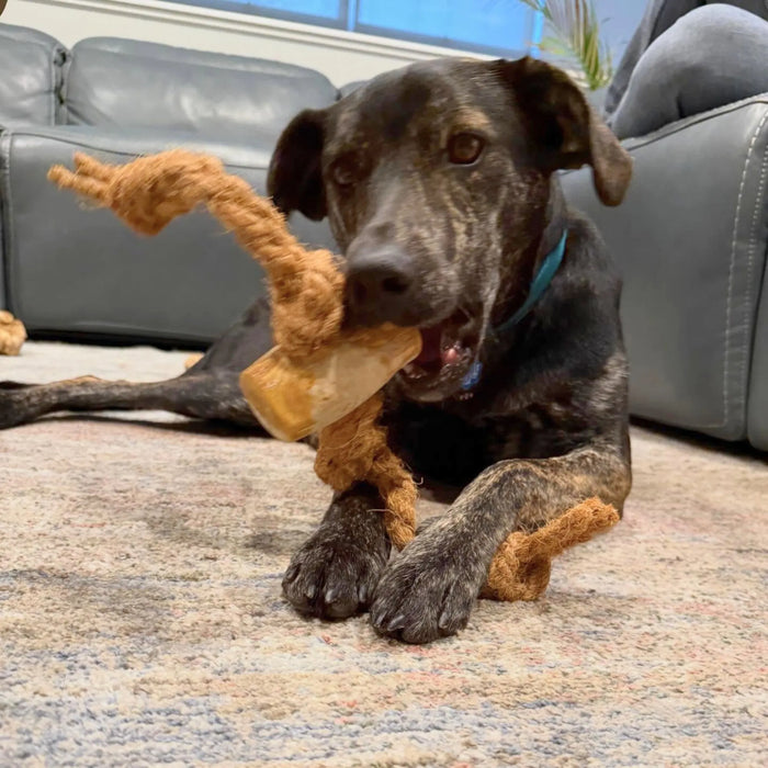 Coconut Rope and Coffee Wood Dog Chew, photo 5