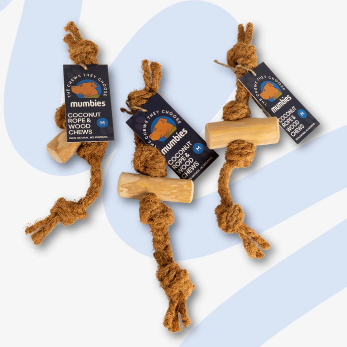 Coconut Rope and Coffee Wood Dog Chew, photo 11