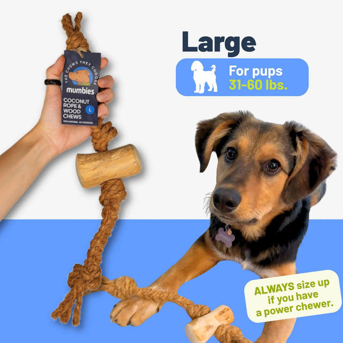 Coconut Rope and Coffee Wood Dog Chew, photo 13