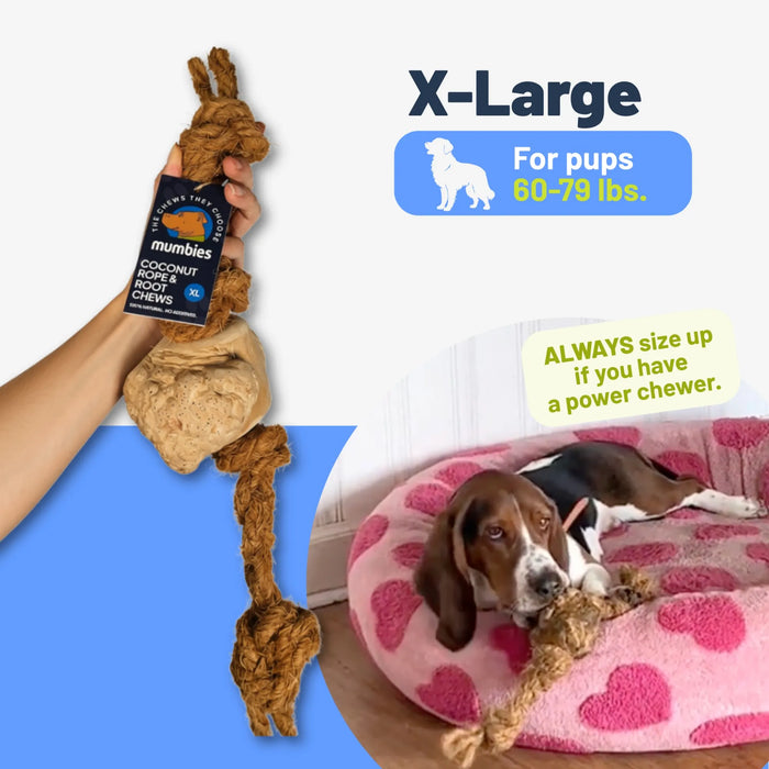Cuerda de coco con mordedor de raíz de café para perro, foto 14