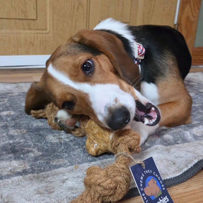 Cuerda de coco con mordedor de raíz de café para perro, foto 20