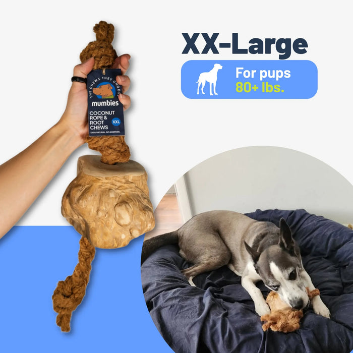 Cuerda de coco con mordedor de raíz de café para perro, foto 17