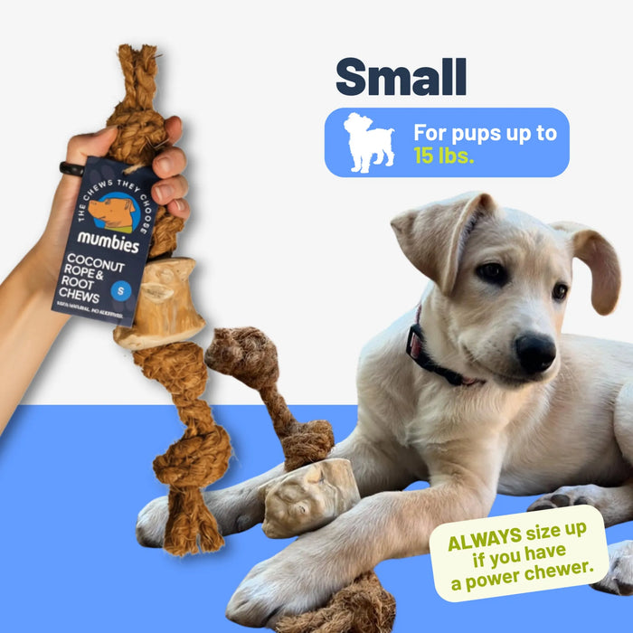 Cuerda de coco con mordedor de raíz de café para perro, foto 4
