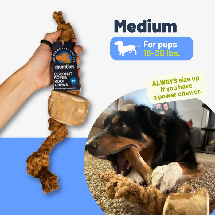Cuerda de coco con mordedor de raíz de café para perro, foto 7
