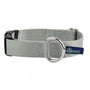 Collar para perro de nailon plateado, 5/8 pulg. y 1 pulg. de ancho, foto 1