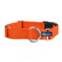 Collar martingala con hebilla para perro de nailon óxido, 1 pulg. de ancho, foto 1