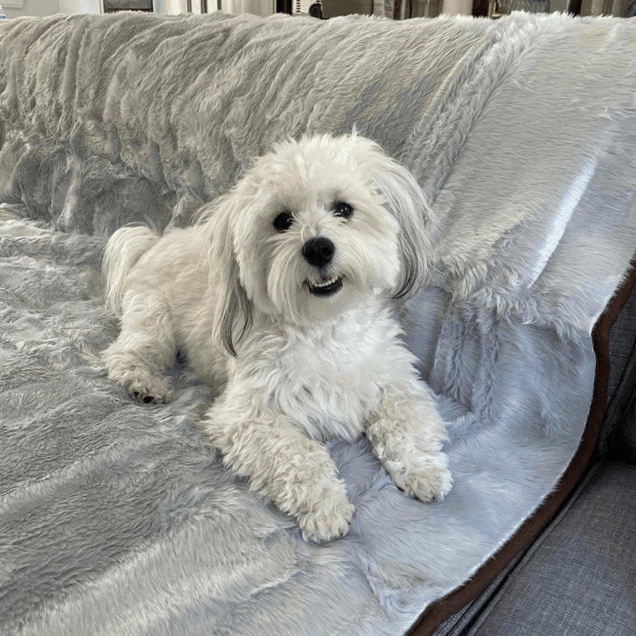 PupProtector Summer Short Fur Waterproof Throw Blanket, Grey, photo 7