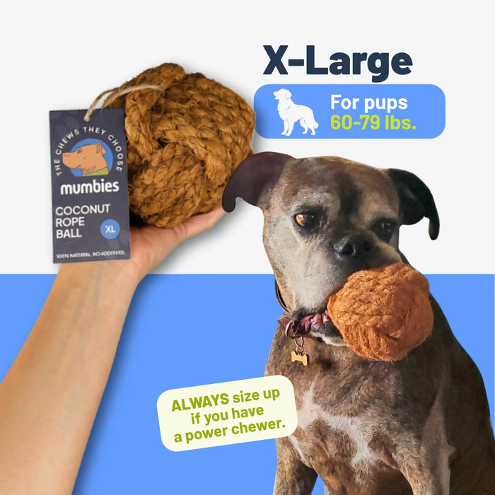 Coconut Rope Ball Dog Toy, photo 40