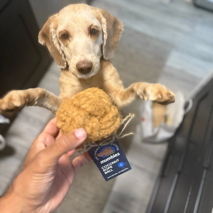 Coconut Rope Ball Dog Toy, photo 55