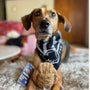 Coconut Rope Ball Dog Toy, photo 47