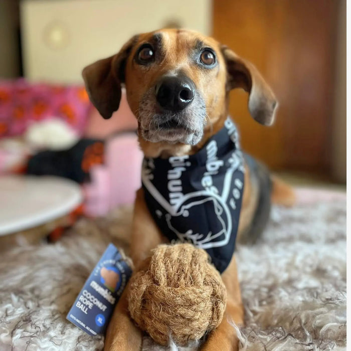Coconut Rope Ball Dog Toy, photo 47