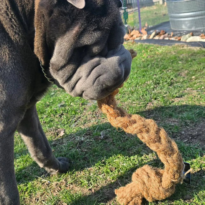 Coconut Rope Tug Dog Toy, photo 19