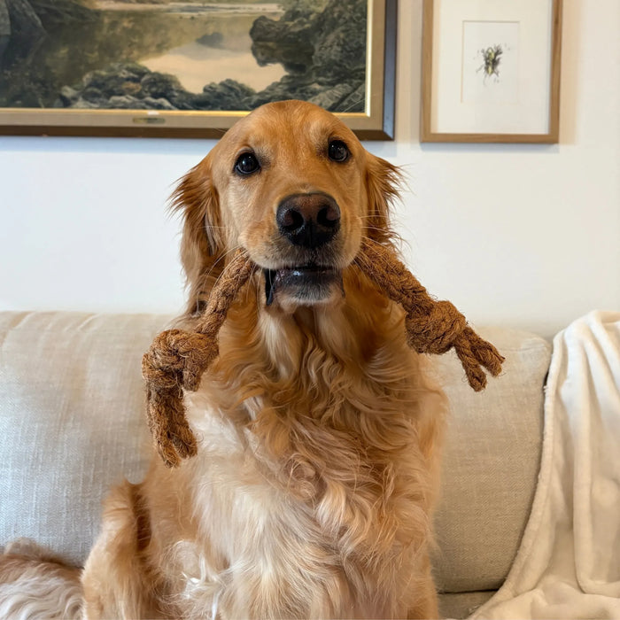 Coconut Rope Tug Dog Toy, photo 18