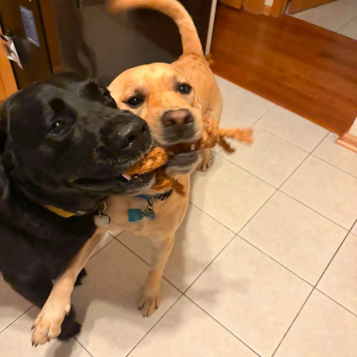 Coconut Rope Tug Dog Toy, photo 3