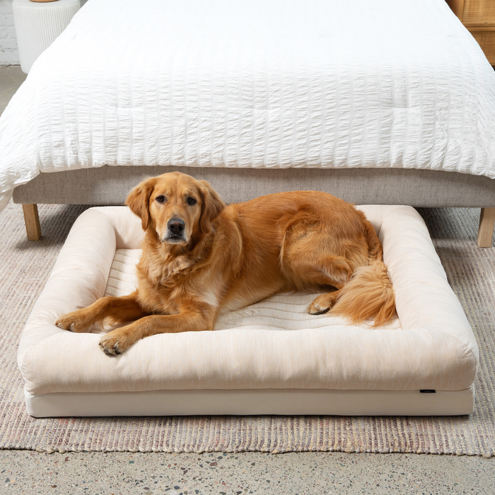 PupChill Cooling 4-Bolster Dog Bed, Arctic Sand, photo 2