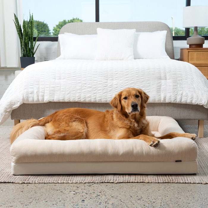 PupChill Cooling 4-Bolster Dog Bed, Arctic Sand, photo 5