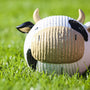Dottie Cow Ruff-Tex, pelota de látex para perro, tamaño grande, foto 3